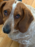 Daisy Soitte