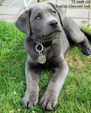 IMG_6239